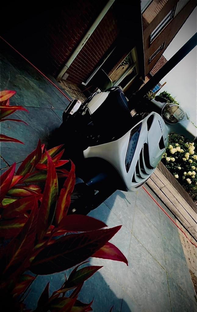 Zip 172/180cc gereviseerd met blok pap, Fietsen en Brommers, Scooters | Piaggio, Zo goed als nieuw, Zip, Maximaal 45 km/u, Tweetakt