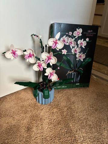 Lego Orchidee - Botanical Collection 10311 beschikbaar voor biedingen