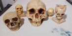 Skull schedel + presspaper + asbak + penhouder Skull + knop, Ophalen