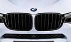 Orginal M Performance Nieren Grill BMW X3 & X4 (2014-2024), Ophalen of Verzenden, Nieuw, BMW