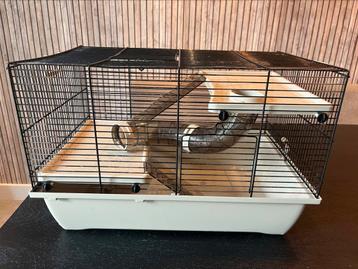 Leuke hamsterkooi beschikbaar voor biedingen