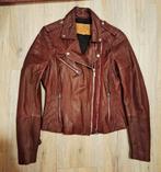 Leren jas dames Maat M Goosecraft /perfecto 104/Burgundy, Maat 38/40 (M), Goosecraft, Ophalen of Verzenden, Zo goed als nieuw