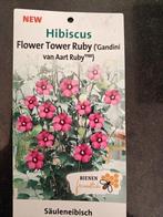 Hibiscus flower tower ruby, Tuin en Terras, Planten | Struiken en Hagen, Ophalen, Hortensia, Struik, 100 tot 250 cm
