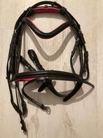 Hoofdstel met teugels maat Minishetland roze, Ophalen of Verzenden, Nieuw, Dressuur