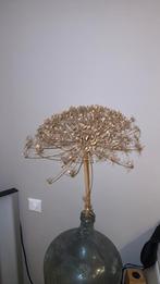 Gedroogde berenklauw, Ophalen, Zo goed als nieuw