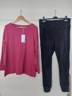 fluwelen broek stretch esmara + tuniek cecil xl maat 44 46, Kleding | Dames, Broeken en Pantalons, Zwart, Maat 46/48 (XL) of groter