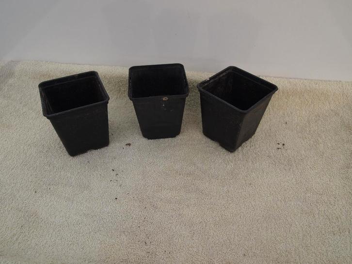 Kweekpotten,  plantenpotten  bloempotten, zwarte potten, Tuin en Terras, Bloempotten, Zo goed als nieuw, Kunststof, Binnen, Minder dan 40 cm