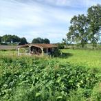 TUINHUIS ZEER DEGELIJK GEBOUWD, IN GOEDE STAAT, ZELF AFBREKE, Ophalen, 500 cm of meer, Hout, 200 tot 400 cm
