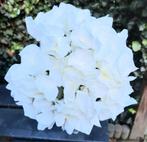 Zijden Hortensia's Kunstbloemen Sober Landelijk, Ophalen of Verzenden, Nieuw, Binnen