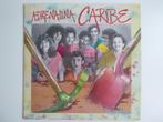 Adrenalina Caribe - Pico y Pala  LP, Cd's en Dvd's, Ophalen of Verzenden, Zo goed als nieuw, 12 inch