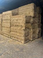 Tarwe stro, Ophalen of Verzenden, Vee