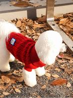 Hond jas S, Ophalen of Verzenden, Zo goed als nieuw, Hondenjas