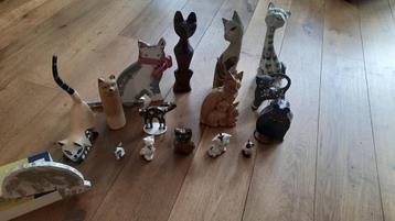 katten beschikbaar voor biedingen