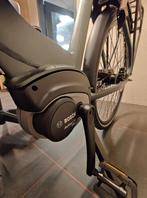 CORTINA E-Common Dames Dark Green Metallic Matt 50cm 2023, -, - 0
-, NL, Nieuw, 47 tot 51 cm