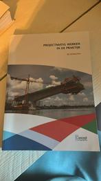 Ed Schouten - Projectmatig werken in de praktijk, Ed Schouten, Sociale wetenschap, Ophalen of Verzenden, Zo goed als nieuw