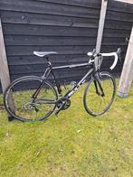 Racefiets Bulls Desert Falcon Pro, Gebruikt, Meer dan 20 versnellingen, 53 tot 57 cm, Ophalen