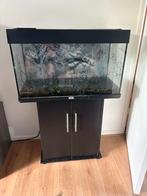 Auarium lekt aan de zijkant, Ophalen, Leeg aquarium