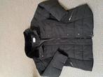 Zwarte korte winterjas, Kleding | Dames, Jassen | Winter, Ophalen of Verzenden, Zo goed als nieuw, Maat 46/48 (XL) of groter, Zwart