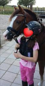 Lieve kinderpony, Dieren en Toebehoren, Gechipt, B, Ruin, B pony (1.17m tot 1.27m)