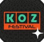 Ticket voor Koz festival, Tickets en Kaartjes, Evenementen en Festivals, Eén persoon