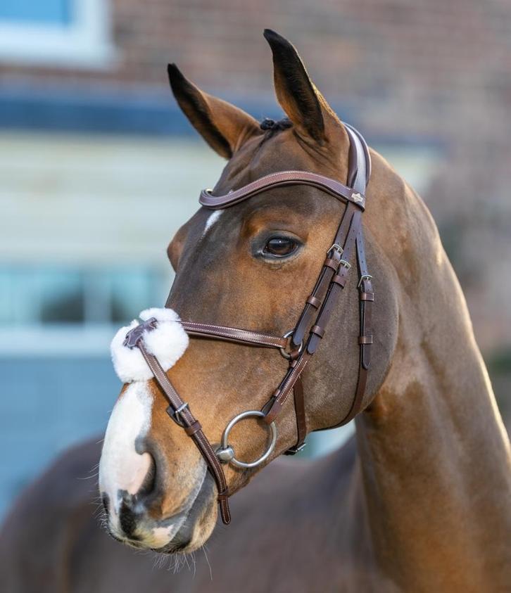 LeMieux Arika Grackle Hoofdstel Havana Bruin Full SALE!, Dieren en Toebehoren, Paarden en Pony's | Hoofdstellen en Tuigage, Nieuw