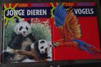 ken je wereld: jonge dieren, vogels en reptielen, Ophalen, Zo goed als nieuw, Anne macrae, Non-fictie