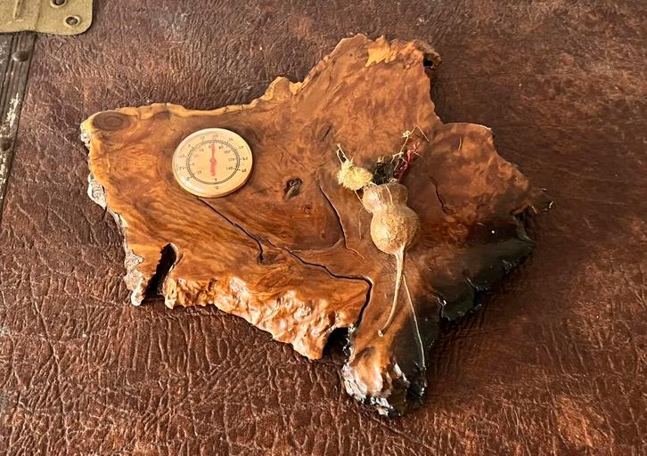 Mallee Tree Weerstation, Antiek en Kunst, Kunst | Beelden en Houtsnijwerken, Ophalen of Verzenden