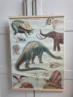 Grote plaat / poster dinosaurus, Natuur en Biologie, Ophalen