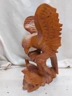 Roofvogel met jongen, Ophalen of Verzenden