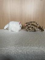 Schattige veranderende Pluche Poesjes - Set van 2, Ophalen of Verzenden, Zo goed als nieuw, Poes
