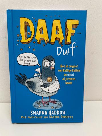 Daaf Duif  beschikbaar voor biedingen