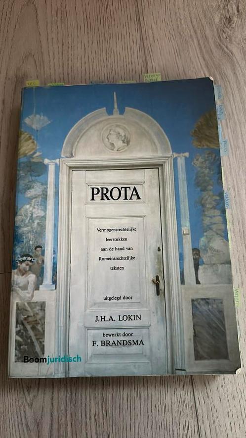 Prota Lokin, Boeken, Kunst en Cultuur | Architectuur, Gelezen, Ophalen of Verzenden