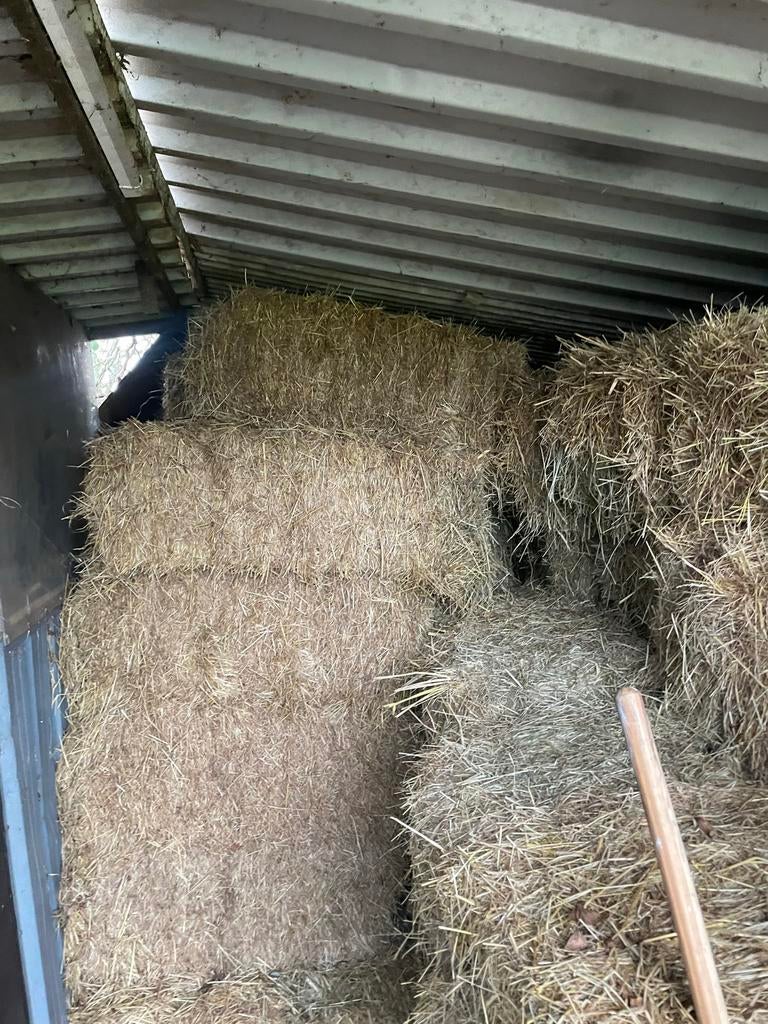 Goedkoop hooi te koop - €4,50 per baal, Ophalen of Verzenden