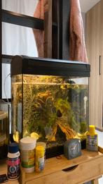Aquarium gezocht! (Ongeveer zo groot als deze), Dieren en Toebehoren, Vissen | Aquaria en Toebehoren, Ophalen of Verzenden, Zo goed als nieuw
