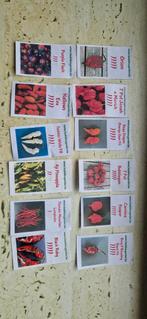 Verse pepers te koop!, Tuin en Terras, Bloembollen en Zaden, Ophalen