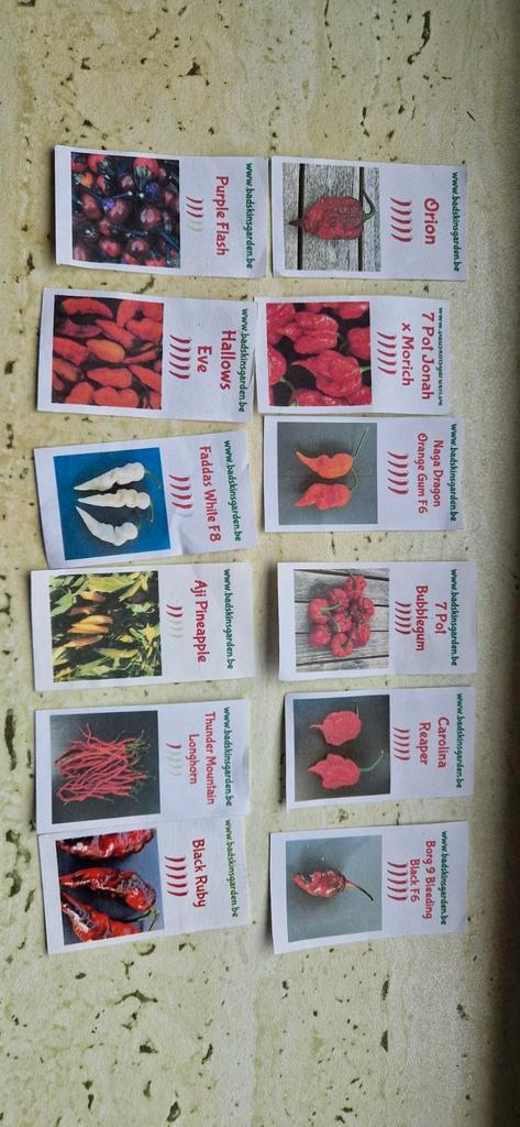 Verse pepers te koop!, Tuin en Terras, Bloembollen en Zaden, Ophalen