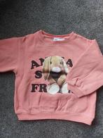 Zara Trui 3-4 jaar 104 konijntje, Ophalen of Verzenden, Zo goed als nieuw, Zara, Meisje