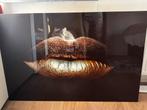 Schilderij gouden lippen, Huis en Inrichting, Woonaccessoires | Schilderijen, Tekeningen en Foto's, Ophalen, Zo goed als nieuw