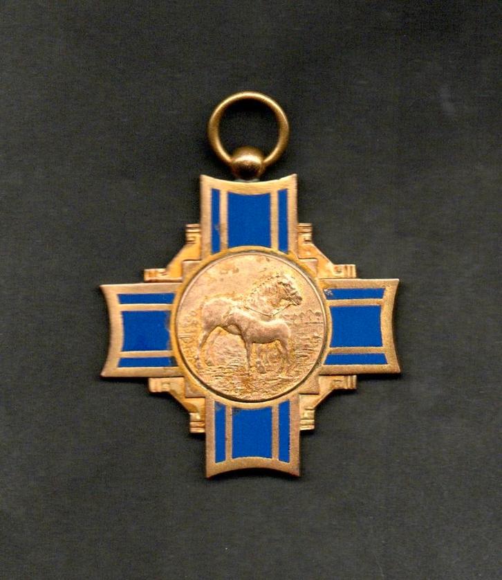 Medaille Vlagtwedde Hengstveulen Tentoonstelling 1961., Verzamelen, Overige Verzamelen, Zo goed als nieuw, Ophalen of Verzenden