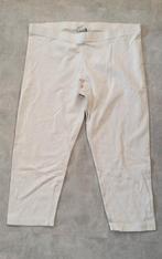 ani rolfi korte legging maat XL, Overige kleuren, Gedragen, Legging, Maat 48/52 (XL)