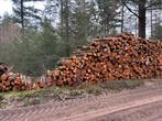 Aantal vrachten rondhout Berk, mooi recht hout., Tuin en Terras, Haardhout, Ophalen of Verzenden, Blokken, Overige houtsoorten