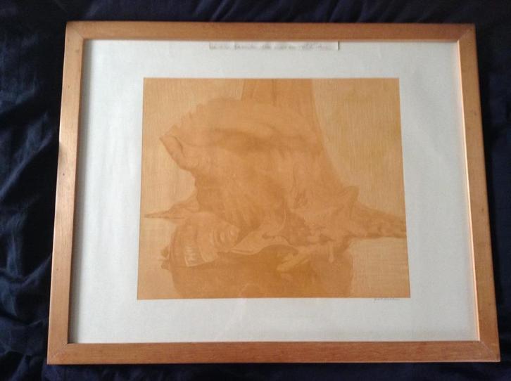 Litho - 1910 - Maurits van der VALK - Schelpen, Antiek en Kunst, Kunst | Litho's en Zeefdrukken, Ophalen