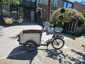 Goeduitziend Electrische familie bakfiets  beschikbaar voor biedingen