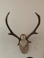 Gewei op wandbord, Ophalen, Gebruikt, Hert, Gewei of Kop