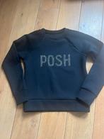 Goldbergh sweater, Kleding | Dames, Ophalen of Verzenden, Zo goed als nieuw