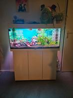 Compleet aquarium, Ophalen, Vis