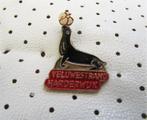 speld  VELUWESTRAND  HARDERWIJK, Ophalen of Verzenden, Gebruikt, Stad of Land, Speldje of Pin