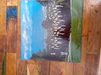 Canada's British Columbia Boy's Choir LP, Ophalen of Verzenden, Gebruikt, Vocaal