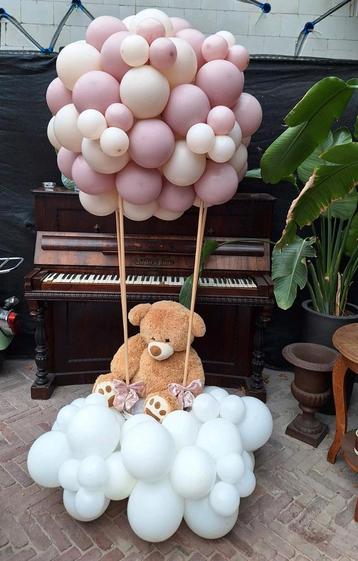 Gender reveal babyshower  beschikbaar voor biedingen