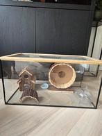 Hamster verblijf Hamster kooi, Dieren en Toebehoren, Knaagdieren en Konijnen | Hokken en Kooien, Kooi, Minder dan 75 cm, Hamster
